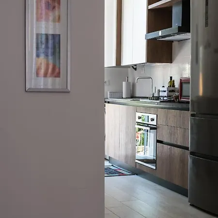 Capo Di Lucca - In The Historical Center With Terrace Apartment
