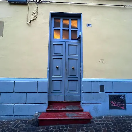 Capo Di Lucca - In The Historical Center With Terrace Apartment *